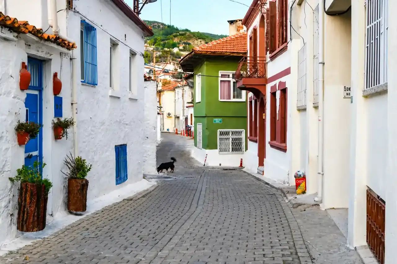 Geleneksel bir Muğla kasabasında beyaz evler arasında sessiz taşlı bir sokak